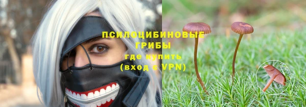 гашик Белокуриха
