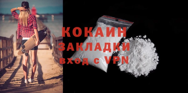 гашик Белокуриха