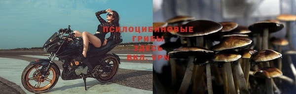 бошки Белоозёрский