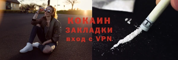 гашик Белокуриха
