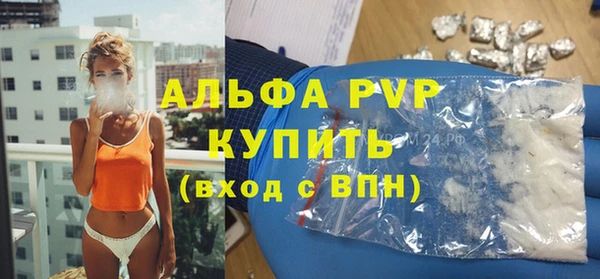 гашик Белокуриха