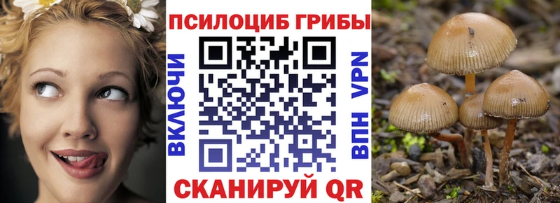Псилоцибиновые грибы MAGIC MUSHROOMS  Бузулук 