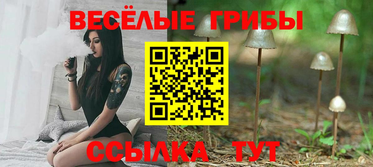 Псилоцибиновые грибы Psilocybe  Вход с VPN  Псилоцибиновые грибы Cubensis  Бузулук 